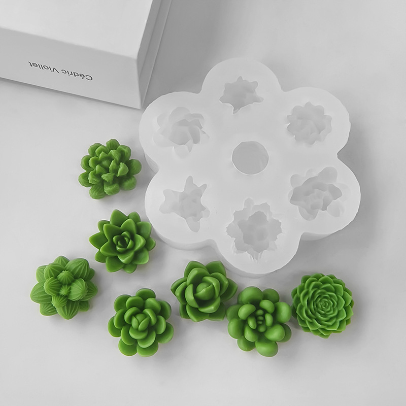 7 In1 Succulent Cactus Silicon - Soap Making At Home recension och pris