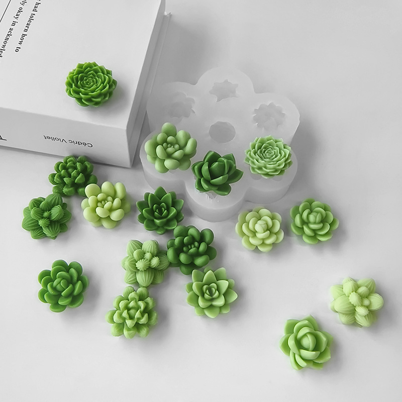7 In1 Succulent Cactus Silicon - Soap Making At Home recension och pris