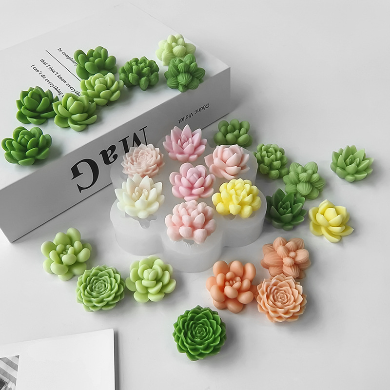 7 In1 Succulent Cactus Silicon - Soap Making At Home recension och pris